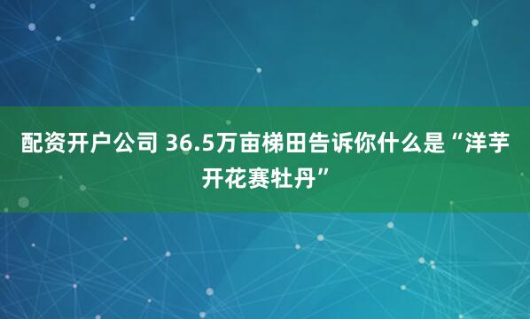 配资开户公司 36.5万亩梯田告诉你什么是“洋芋开花赛牡丹”